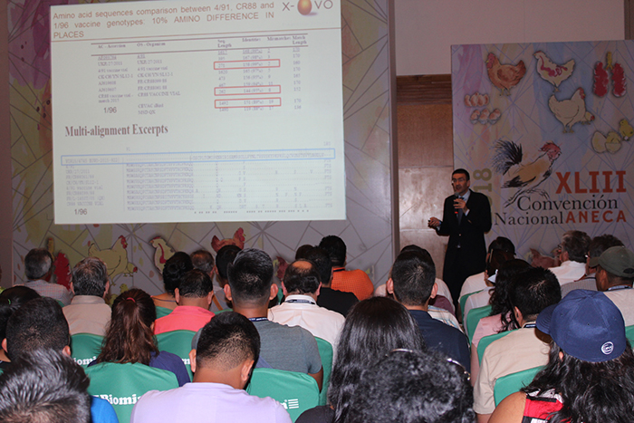 XLIII Convención Anual ANECA IMG 0181