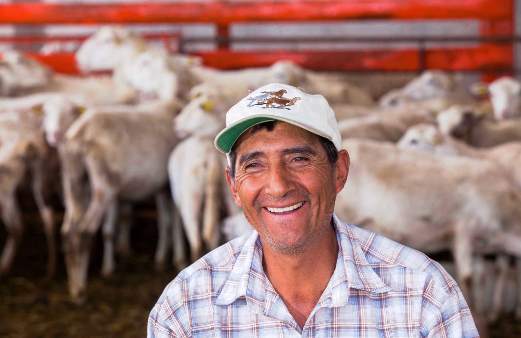 Expectativas y Logros Agroalimentarios 2019