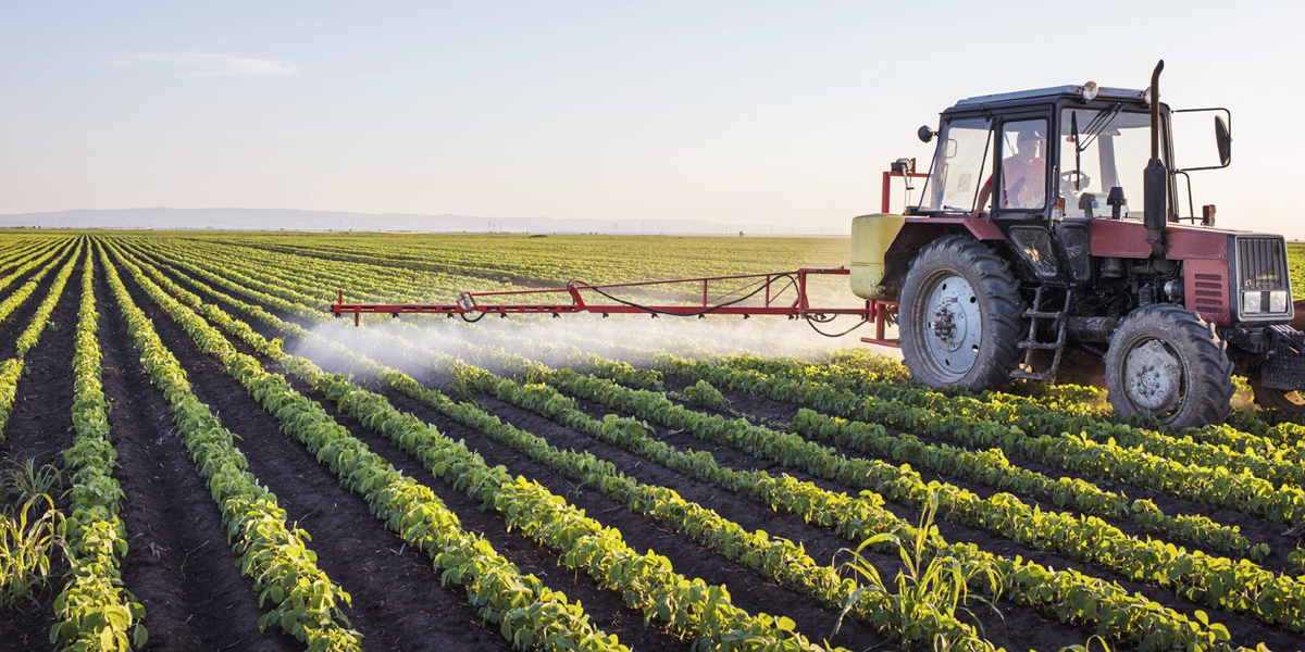 Agricultura multifuncional desde la perspectiva económica - BM Editores