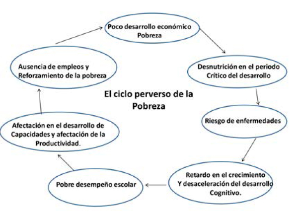 Proyectos productivos y participación -acción de la comunidad Proyectos productivos 1