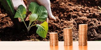 Piden Ganaderos destinar recursos al sector pecuario para reactivar al sector