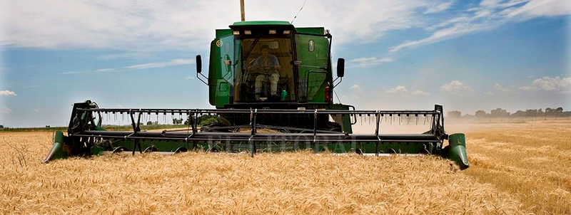 Análisis del presupuesto al sector rural y agropecuario de México. GCMA seccion presupuesto al sector rural 6
