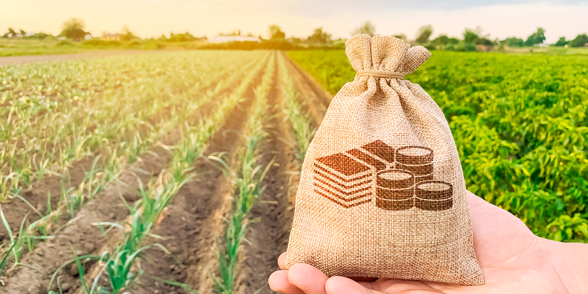 Análisis del presupuesto al sector rural y agropecuario de México. - BM Editores