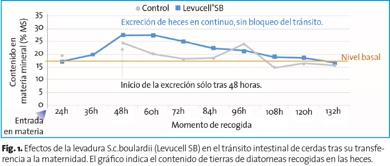 Tránsito intestinal alrededor del parto: ¡El factor clave! Transito intestinal alrededor parto 1