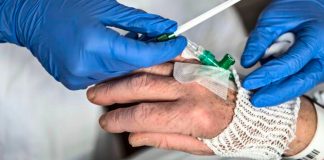 Argentina aplica ya suero equino para reducir muertes por COVID-19