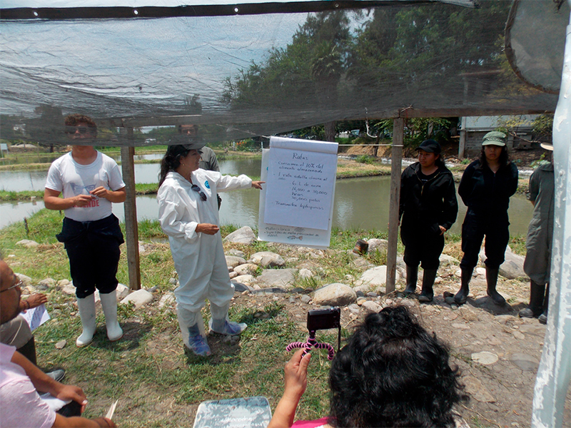 Importancia de la actividad de las y los MVZ en inocuidad acuícola y pesquera MVZ inocuidad acuicola pesquera 7