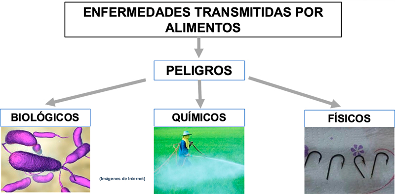 Importancia de la actividad de las y los MVZ en inocuidad acuícola y pesquera MVZ inocuidad acuicola pesquera 9