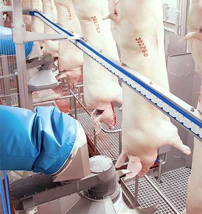 ¿Por qué puede fallar un plan HACCP? falla plan HACCP 3