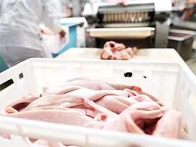 ¿Por qué puede fallar un plan HACCP? falla plan HACCP 5