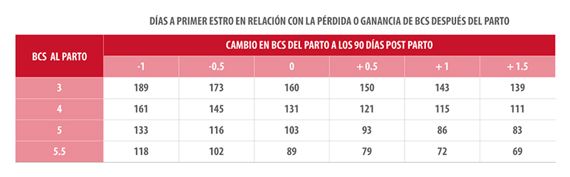 Condición corporal de la vaca de carne al momento del parto y la lactancia Condicion corporal de la vaca de carne 3