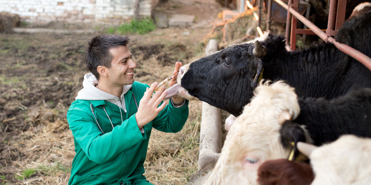 La importancia de los riesgos en las buenas prácticas de producción - BM Editores