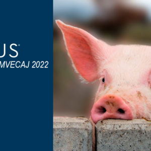 NOVUS confirma participación en el XXVIII Congreso AMVECAJ 2022 congegreso amvecaj 2022 novus b