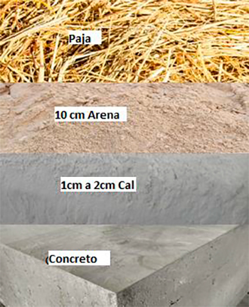 Afecciones del amoníaco en sistema de cama profunda Afecciones amoniaco 4