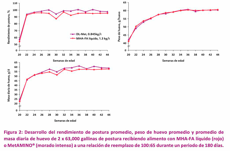 El valor nutricional del hidroxianálogo de DL-metionina es 65% en relación con MetAMINO® hidroxianalogo DL metionina 3