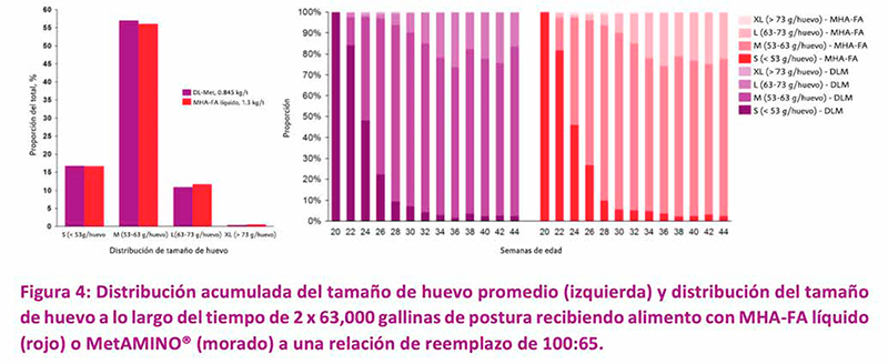 El valor nutricional del hidroxianálogo de DL-metionina es 65% en relación con MetAMINO® hidroxianalogo DL metionina 7
