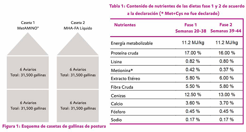 El valor nutricional del hidroxianálogo de DL-metionina es 65% en relación con MetAMINO® hidroxianalogo DL metionina