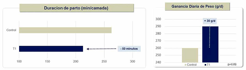 Hipocalcemia sub-clínica en cerdas Hipocalcemia sub clinica cerdas 3