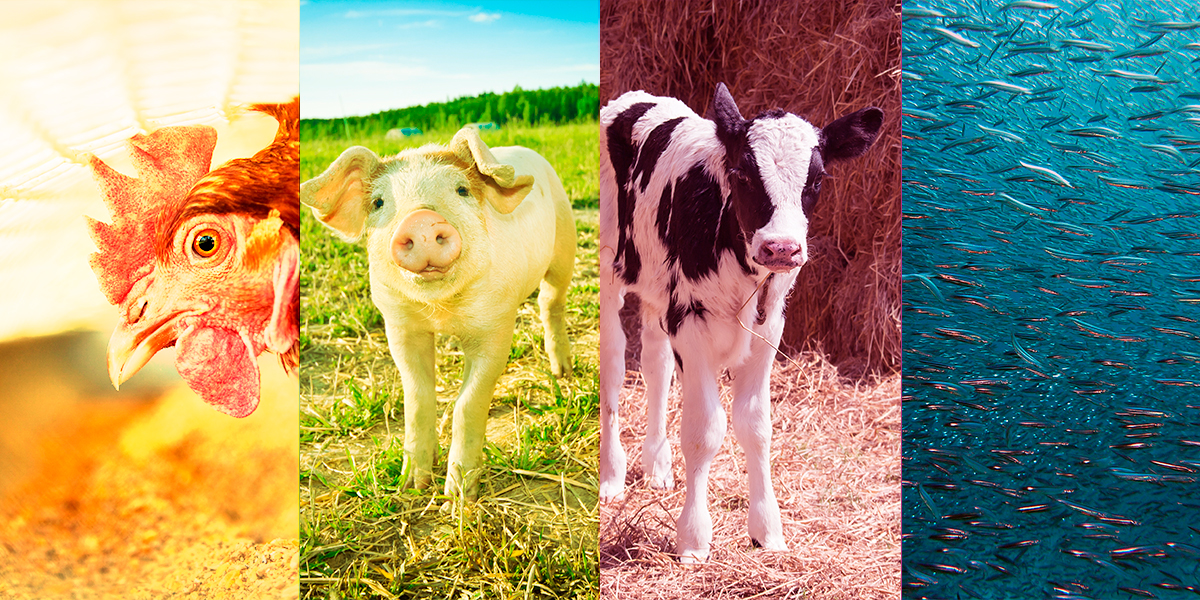 NUQO inicia actividades en México - BM Editores