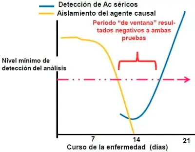 Elementos requeridos para un diagnóstico de Laboratorio Elementos requeridos diagnostico Laboratorio 7