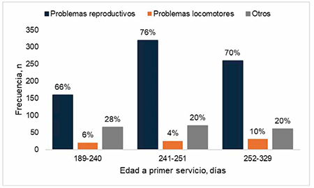 Importancia de la edad a primer servicio en la productividad de las cerdas primer servicio productividad cerdas 4