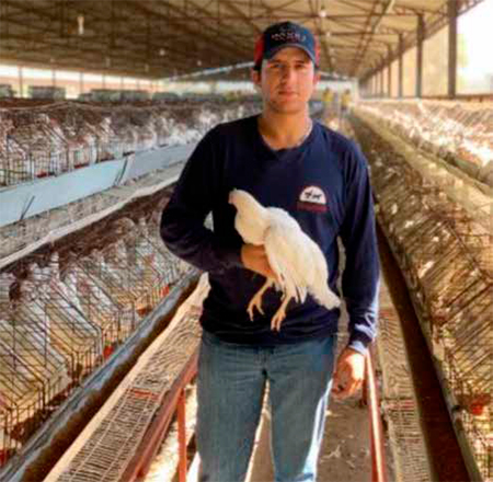 Sistemas de producción avícola Sistemas produccion avIcola 1