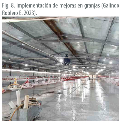 Implementación de un programa de limpieza y desinfección en casetas de pollo de engorda limpieza desinfeccion casetas pollo engorda 12