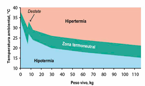 Entendiendo el estrés calórico en cerdos Entendiendo estres calorico cerdos 3