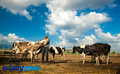 La leche, el más noble de los alimentos y un largo camino a casa leche noble alimentos 1