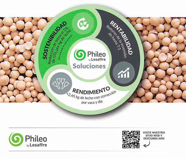 Levadura probiótica ofrece beneficios sostenibles para la producción lechera Levadura probiotica ofrece beneficios sostenibles produccion lechera 2