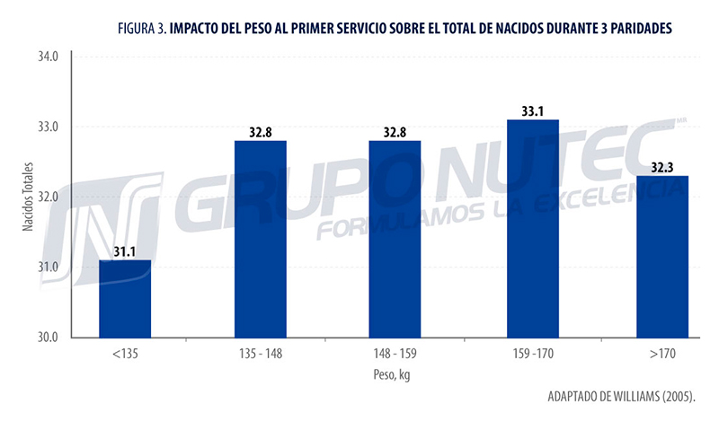 Factores por considerar para el correcto desarrollo de las hembras para reemplazo.II correcto desarrollo de las hembras figura 3 nutec