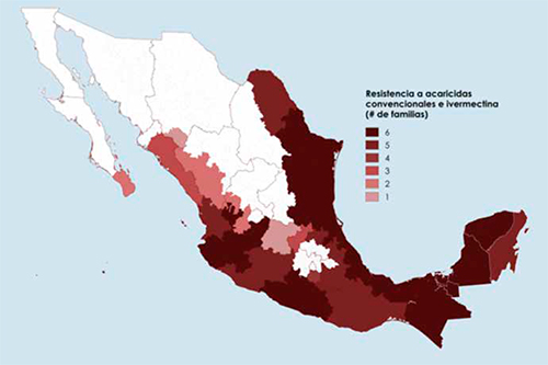 Distribución de la resistencia de la garrapata común del bovino (Rhipicephalus microplus) garrapata comun bovino 2
