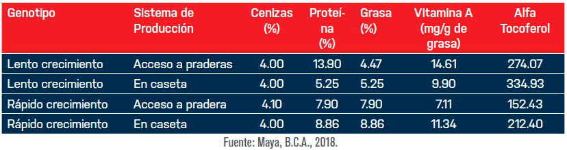 La avicultura orgánica en México avicultura organica