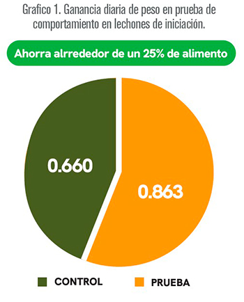 Alimentación de cerdos de iniciación con alternativa del maíz nixtamalizado y su subproducto industrializado Alimentacion cerdos iniciacion alternativa maiz
