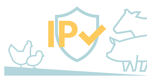 Clasificación IP en iluminación para animales Clasificacion IP iluminacion animales2