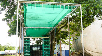 Buenas prácticas de captura, enjaulado & transporte de pollos a la planta de sacrificio Z8nEkl68 Buenas practicas captura enjaulado transporte pollos3