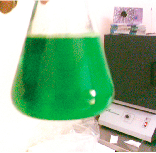 Estrategias de medicación en agua. agua f4new