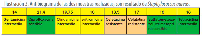 Prevalencia de mastitis subclínica en hatos lecheros familiares, Comonfort, Gto. mastitis subclinica hatos lecheros familiares Comonfort Gto3