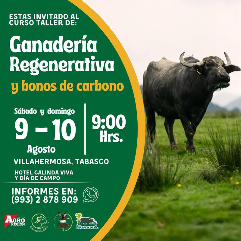 Curso Taller: Ganadería Regenerativa Curso Taller Ganaderia Regenerativa bonos carbono