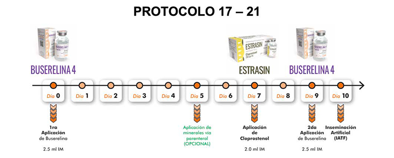 ¿Eficiencia reproductiva? Eficiencia reproductiva 3
