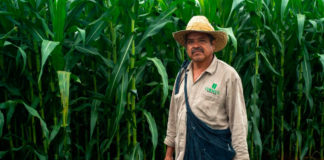 CIMMyT reafirman compromiso de transformar sistemas agroalimentarios