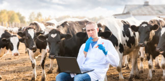 Control y beneficios del ciclo en vacas