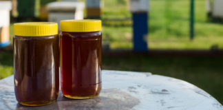 Cumplimiento Normativo en el Etiquetado de Miel, Propóleos y Productos Apícolas en México