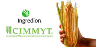 Ingredion y CIMMYT renuevan compromiso, una agricultura sustentable y regenerativa