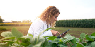 Lanzan convocatoria para el Encuentro de Innovación Agroalimentaria
