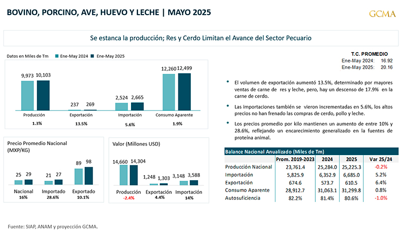 Producción estancada: Res y cerdo limitan el avance del Sector Pecuario Produccion estancada gcma