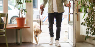 Prohíben negar acceso a lugares públicos a animales de compañía