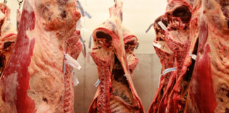 La Sanidad Animal, Activo estratégico de México que debe protegerse
