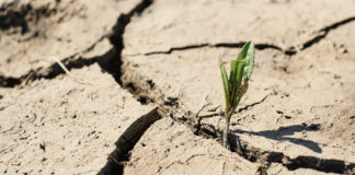 Analizan en Senado retos del cambio climático en el noreste del país