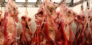 Se requieren almacenes de frío ante creciente demanda de productos cárnicos