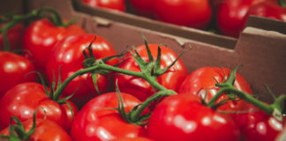 Impone EU cuota compensatoria a importaciones de tomate mexicano